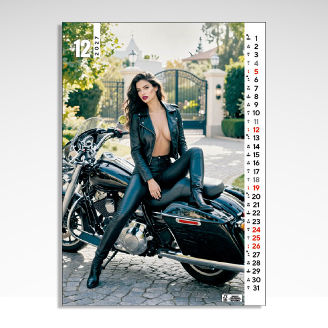 Kalendarz wieloplanszowy Girls and Bikes (20szt.) - 4 Kalendarz wieloplanszowy Girls and Bikes (20szt.) - obrazek 2