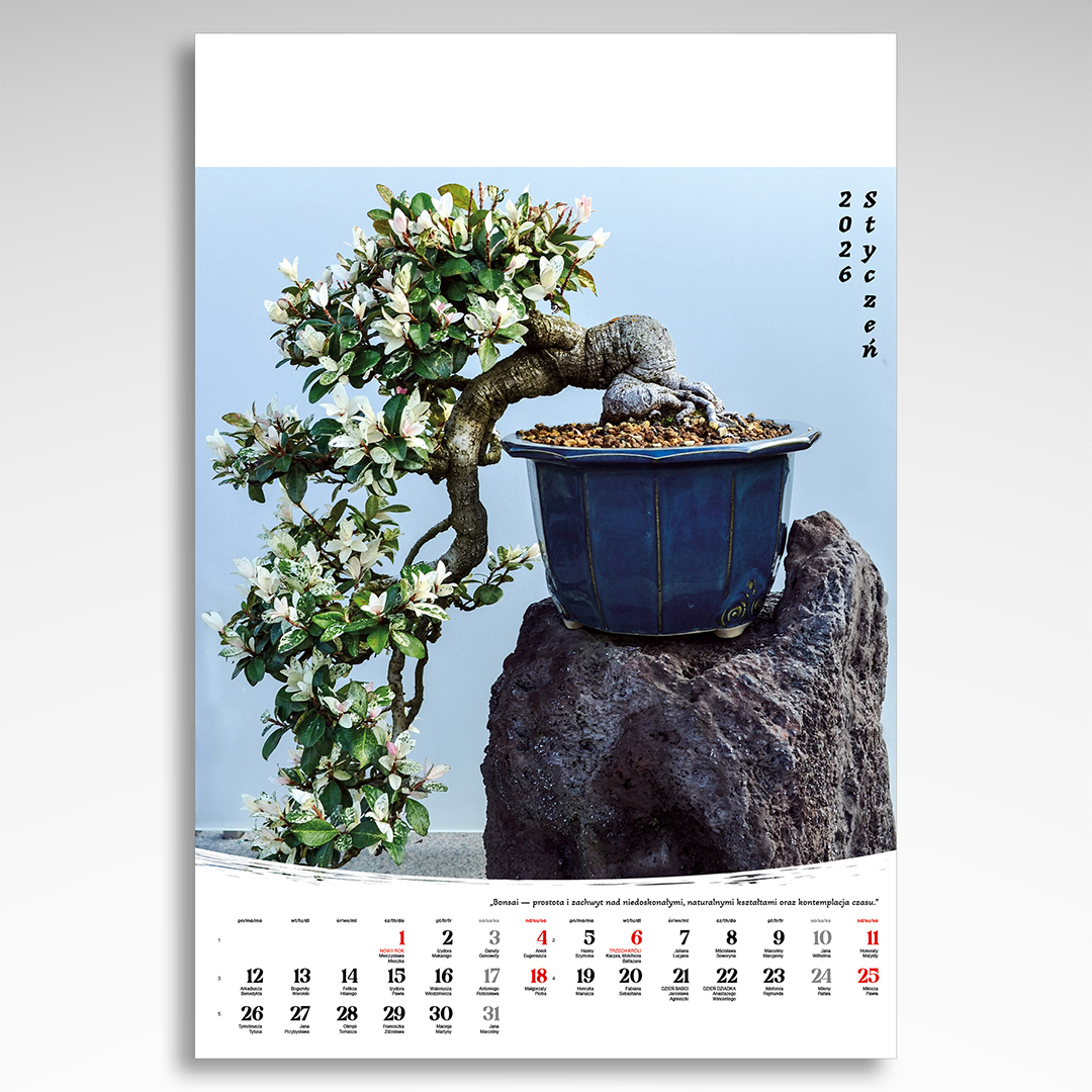 Kalendarz wieloplanszowy Bonsai (20szt.) - 15 Kalendarz wieloplanszowy Bonsai - karta