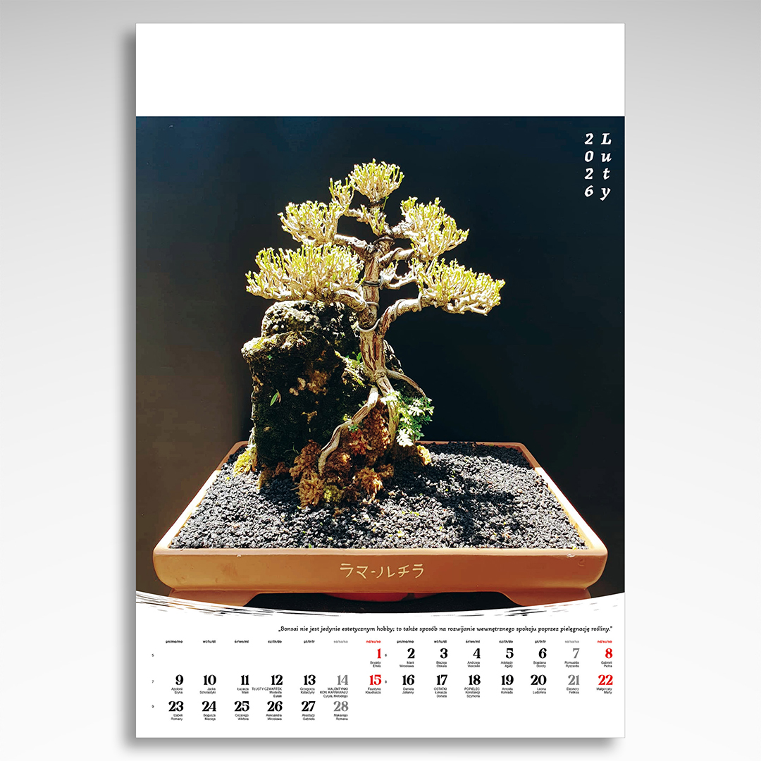 Kalendarz wieloplanszowy Bonsai (20szt.) - 14 Kalendarz wieloplanszowy Bonsai (20szt.) - obrazek 12