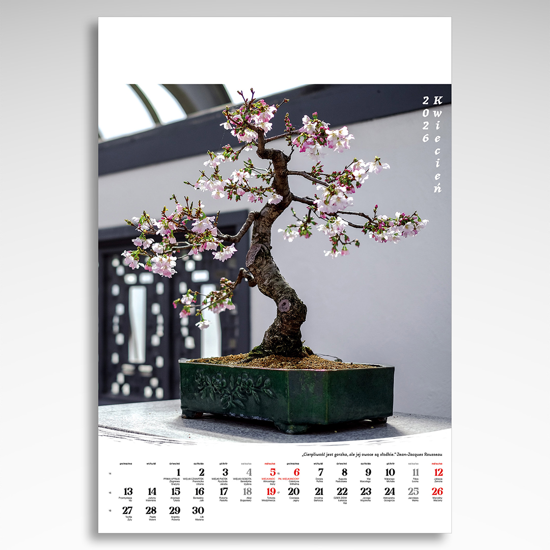 Kalendarz wieloplanszowy Bonsai (20szt.) - 12 Kalendarz wieloplanszowy Bonsai (20szt.) - obrazek 10