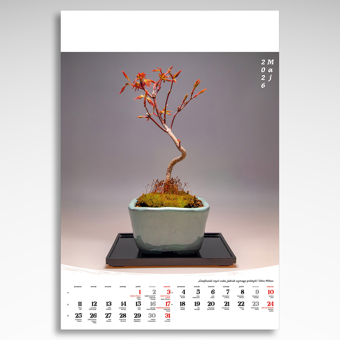Kalendarz wieloplanszowy Bonsai (20szt.) - 11 Kalendarz wieloplanszowy Bonsai (20szt.) - obrazek 9