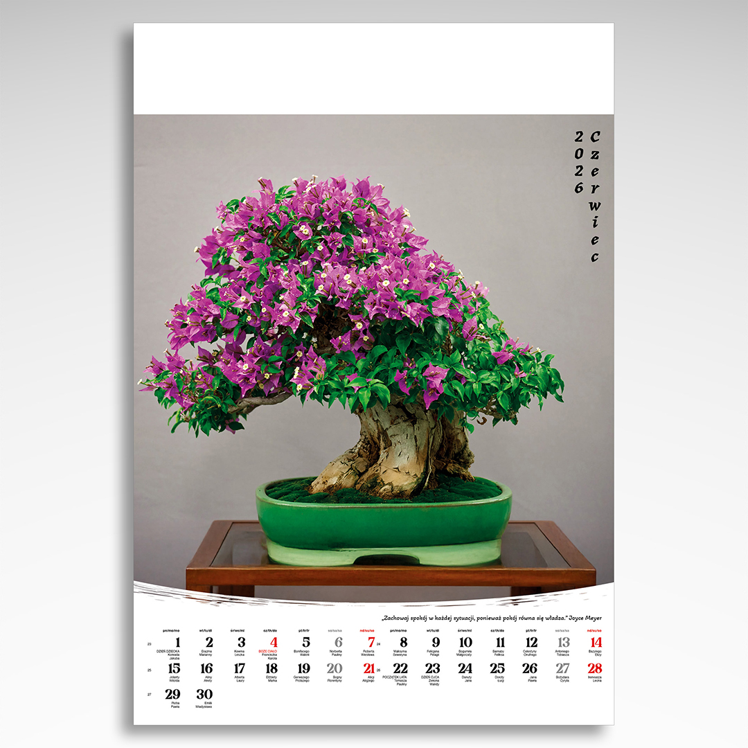 Kalendarz wieloplanszowy Bonsai (20szt.) - 10 Kalendarz wieloplanszowy Bonsai (20szt.) - obrazek 8