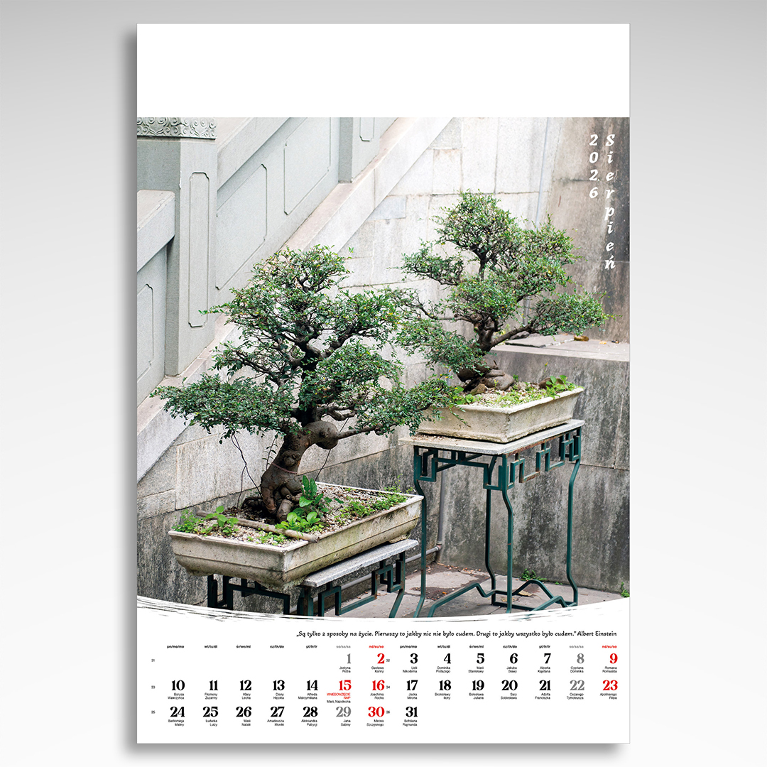 Kalendarz wieloplanszowy Bonsai (20szt.) - 8 Kalendarz wieloplanszowy Bonsai (20szt.) - obrazek 6