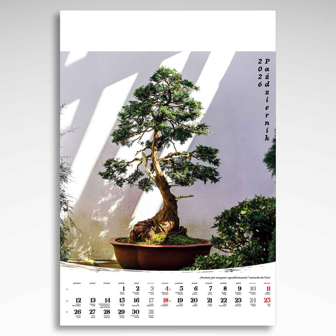 Kalendarz wieloplanszowy Bonsai (20szt.) - 6 Kalendarz wieloplanszowy Bonsai (20szt.) - obrazek 4