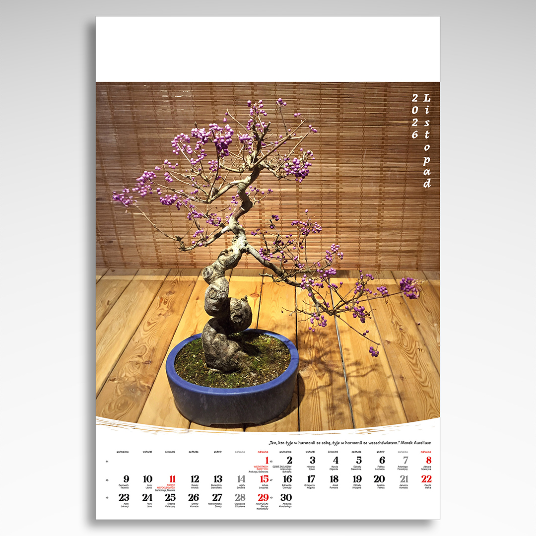 Kalendarz wieloplanszowy Bonsai (20szt.) - 5 Kalendarz wieloplanszowy Bonsai (20szt.) - obrazek 3