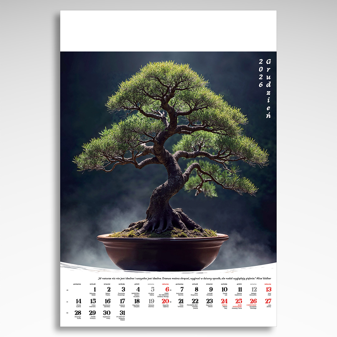 Kalendarz wieloplanszowy Bonsai (20szt.) - 4 Kalendarz wieloplanszowy Bonsai (20szt.) - obrazek 2