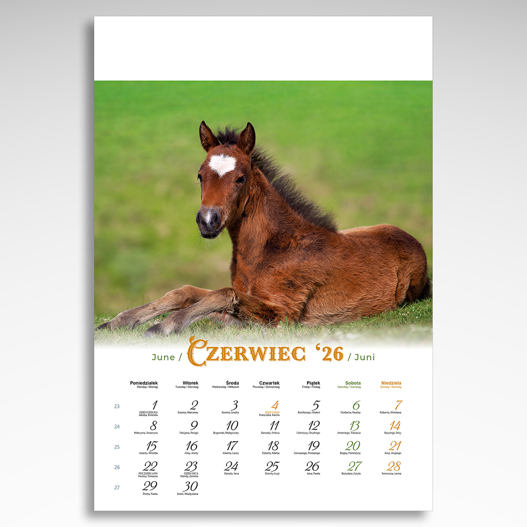 Kalendarz wieloplanszowy Konie (20szt.) - 10 Kalendarz wieloplanszowy Konie (20szt.) - obrazek 8