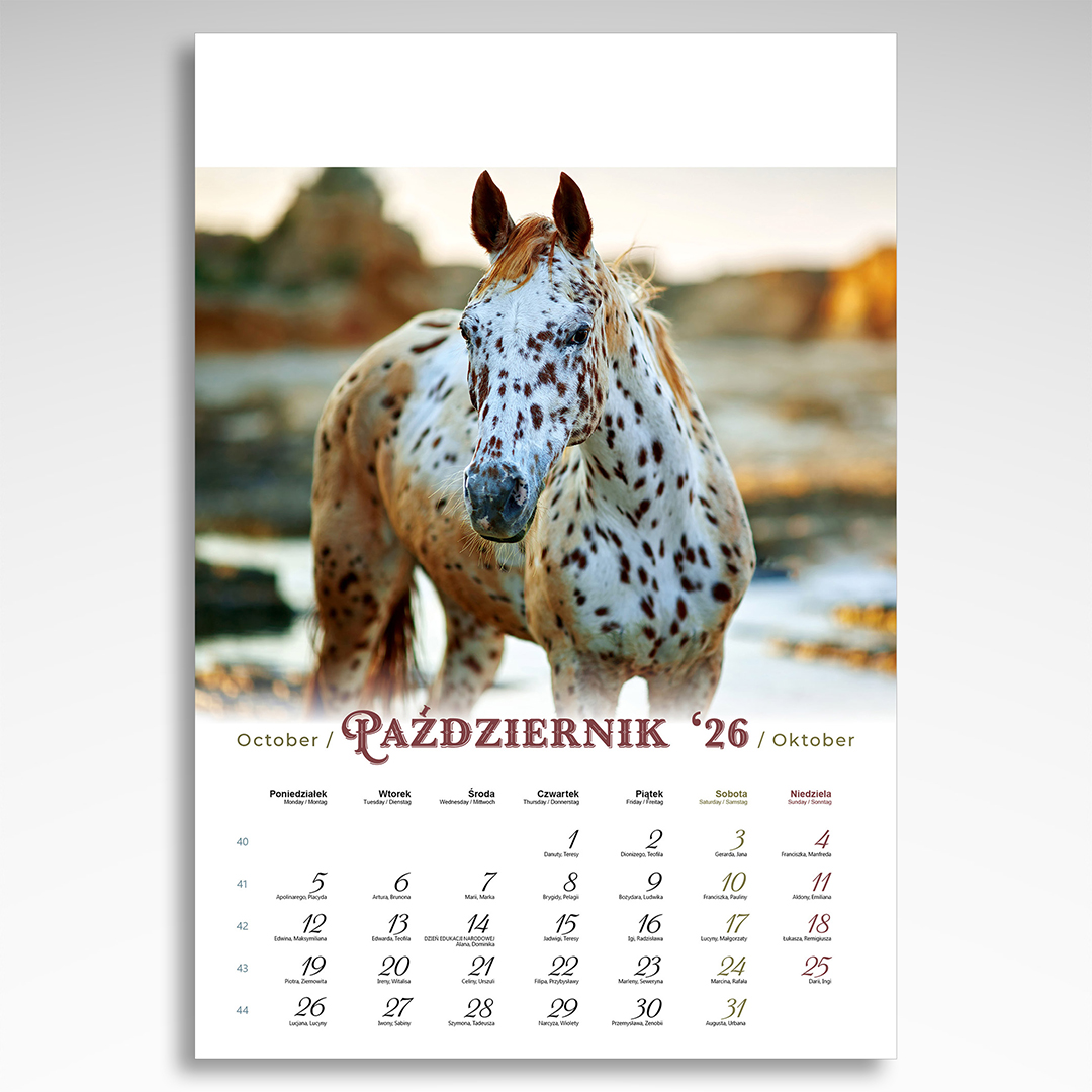 Kalendarz wieloplanszowy Konie (20szt.) - 6 Kalendarz wieloplanszowy Konie (20szt.) - obrazek 4