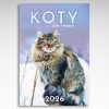 Kalendarz wieloplanszowy Koty (20szt.) - 2 Kalendarz wieloplanszowy Koty