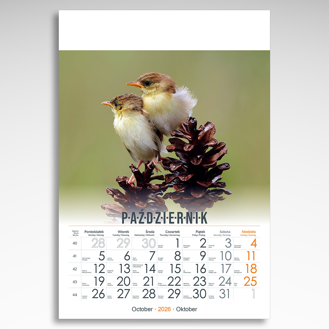 Kalendarz wieloplanszowy Przyjaciele (20szt.) - 6 Kalendarz wieloplanszowy Przyjaciele (20szt.) - obrazek 4