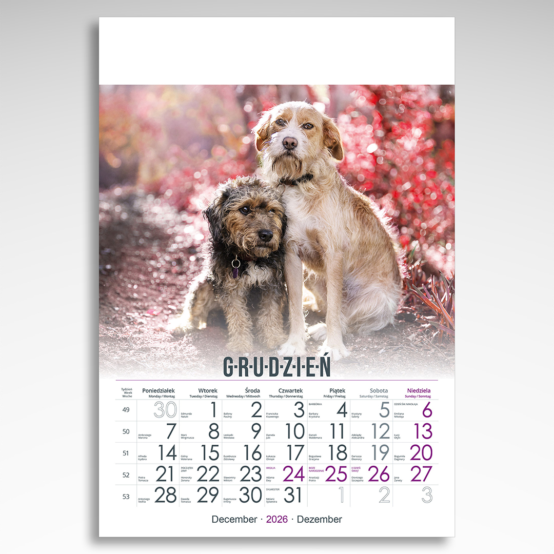 Kalendarz wieloplanszowy Przyjaciele (20szt.) - 4 Kalendarz wieloplanszowy Przyjaciele (20szt.) - obrazek 2